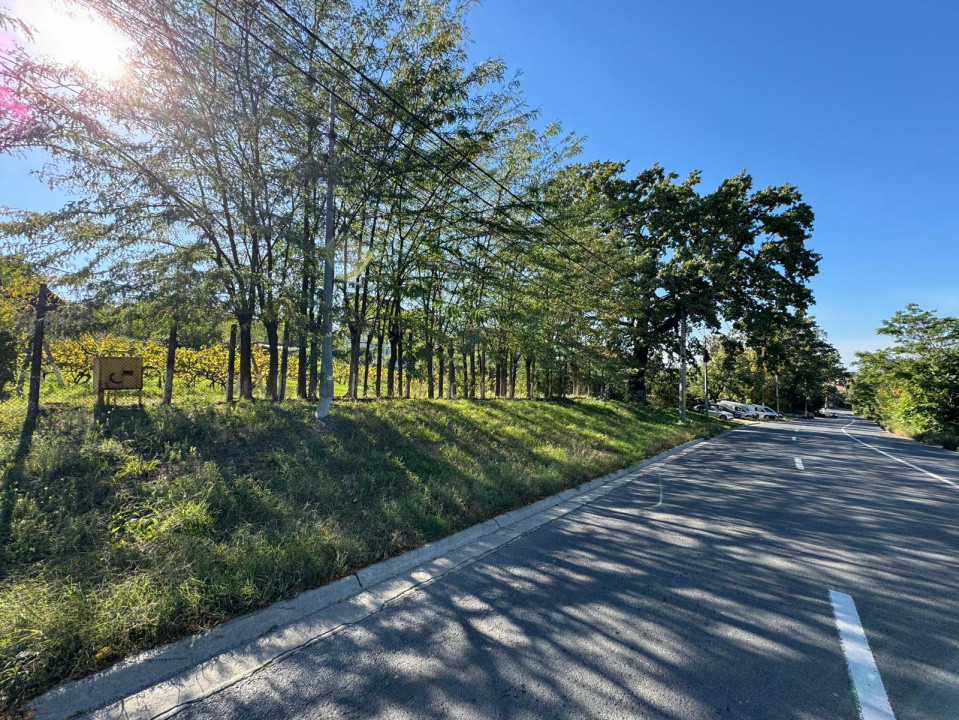 Vanzare Teren Intravilan 560 mp PUZ Bucium Casa Boiereasca