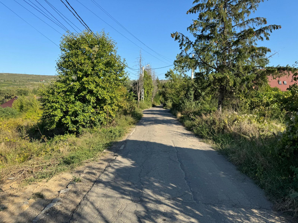 Vanzare Teren Intravilan 560 mp PUZ Bucium Casa Boiereasca