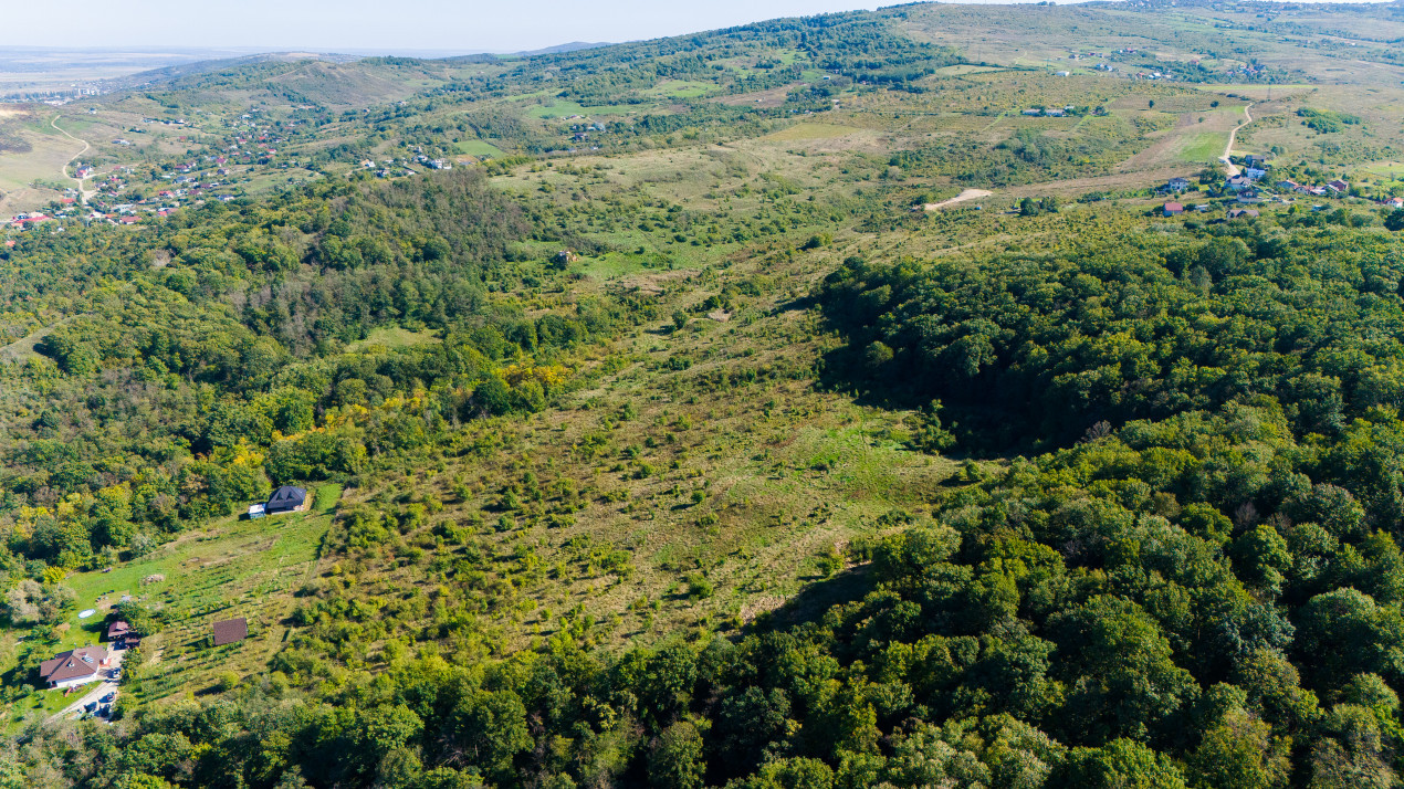 Vânzare Teren Intravilan 11.3 Ha Bucium PUZ+CU valabil Case D+P+E+M 