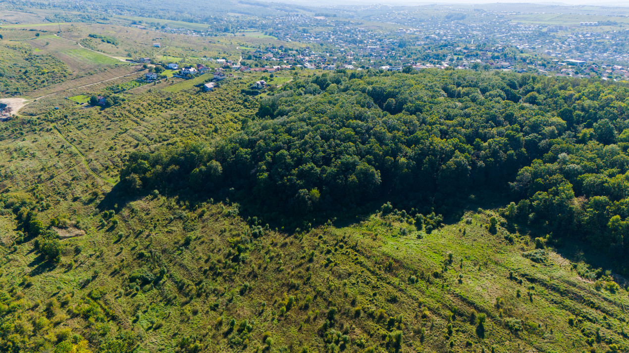 Vânzare Teren Intravilan 11.3 Ha Bucium PUZ+CU valabil Case D+P+E+M 