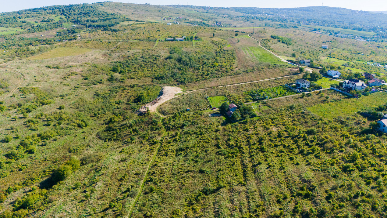 Vânzare Teren Intravilan 11.3 Ha Bucium PUZ+CU valabil Case D+P+E+M 