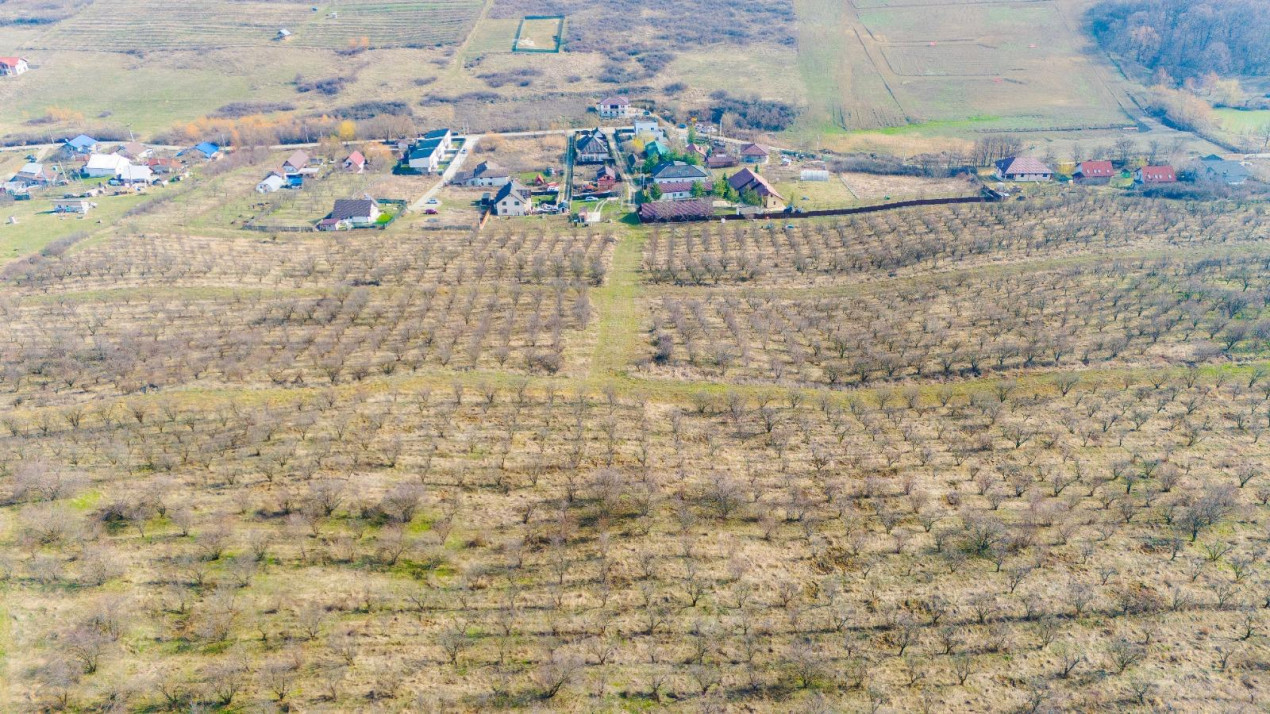 Vânzare Teren Intravilan 800 mp Vișani Sf. Ilie PUZ Casă D+P+E