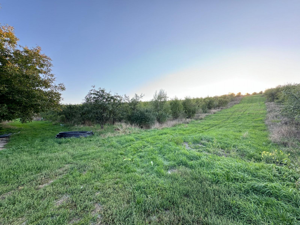 Vânzare Teren Intravilan 800 mp Vișani Sf. Ilie PUZ Casă D+P+E