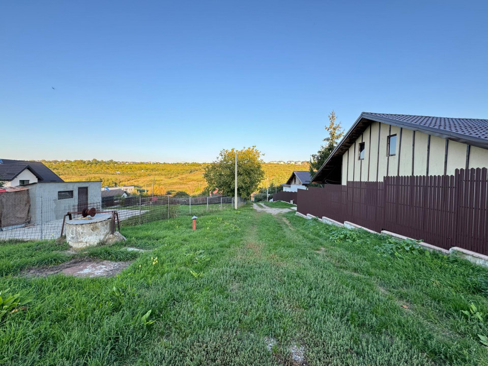 Vânzare Teren Intravilan 25.000 mp Vișani Sf. Ilie PUZ Case/Bloc