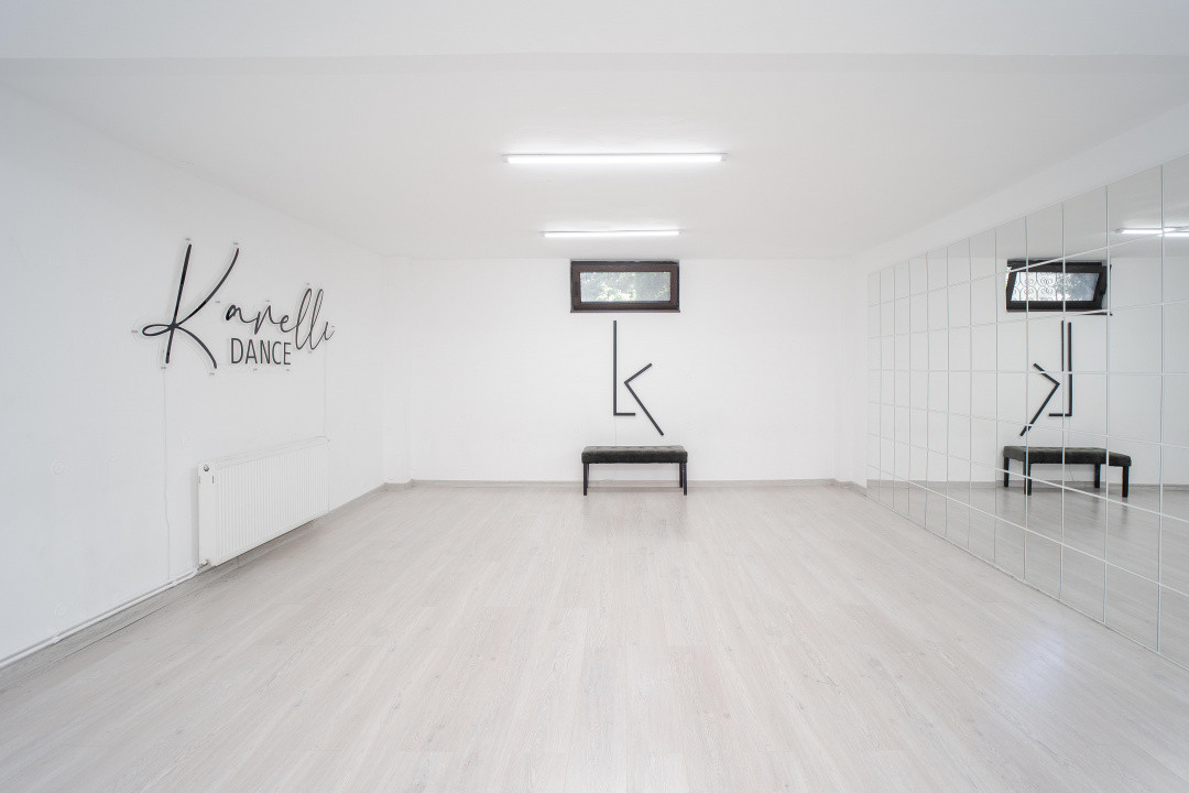 Vilă Grandioasă 650 mp+Spațiu Comercial 110 mp Tătărași Teren 968 mp