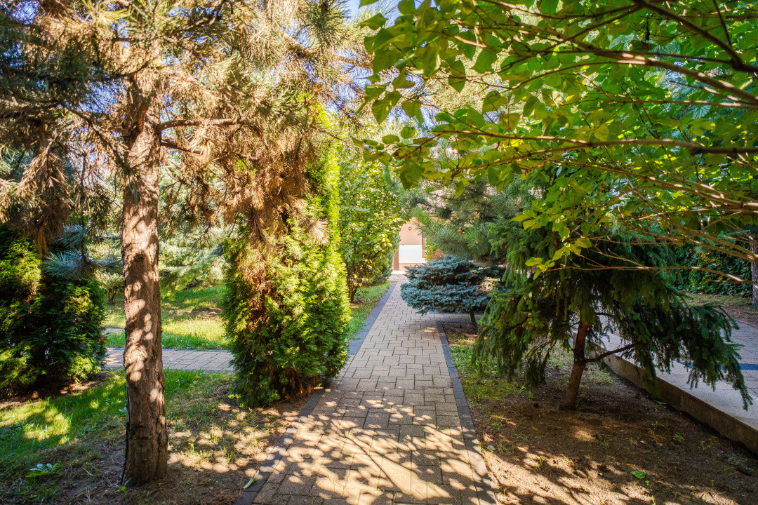 Vilă Grandioasă 650 mp+Spațiu Comercial 110 mp Tătărași Teren 968 mp