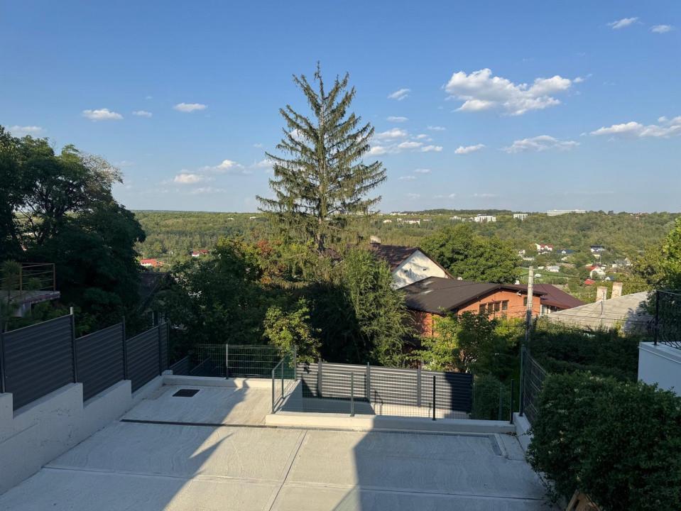 Închiriere Spațiu Comercial 150 mp Copou Sărărie Vad Stradal