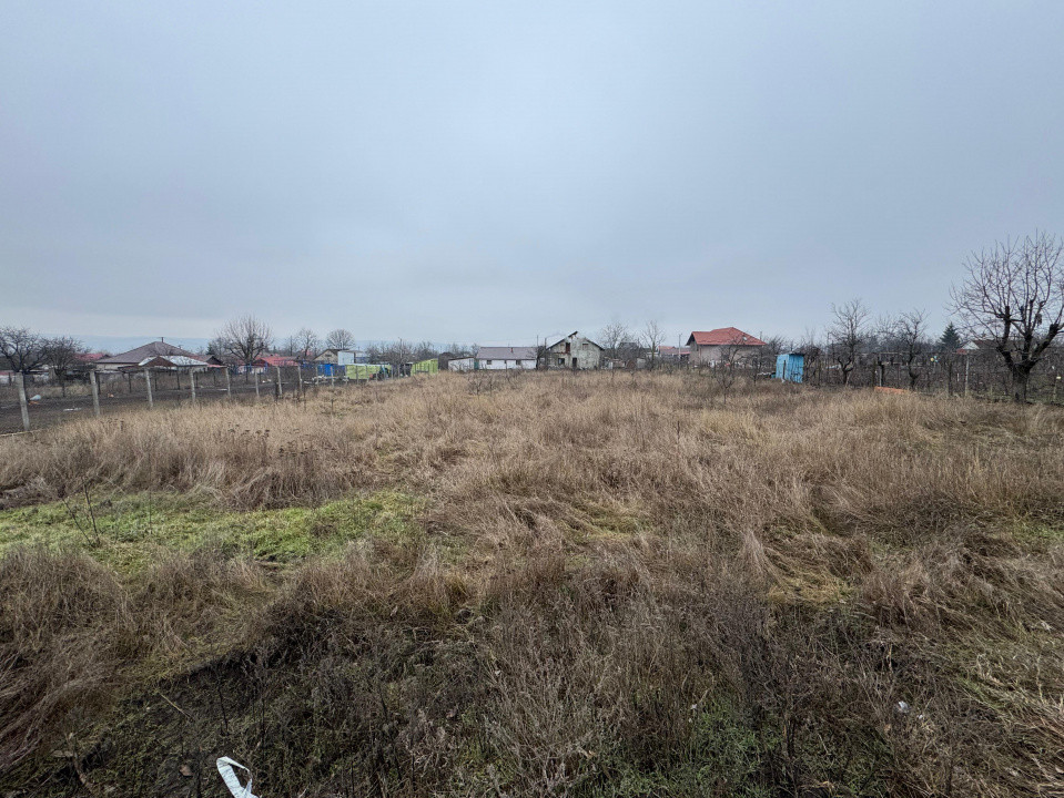 Vânzare Teren Intravilan 1800 mp Tigănași Acces DJ Iași-Botoșani