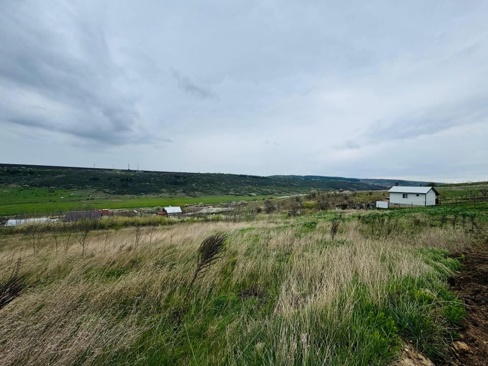 Vânzare Teren Intravilan 1500 mp Pensiunea Carolina PUZ Casă D+P+2E 