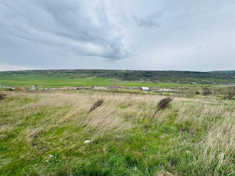 Vânzare Teren Intravilan 1500 mp Pensiunea Carolina PUZ Casă D+P+2E 