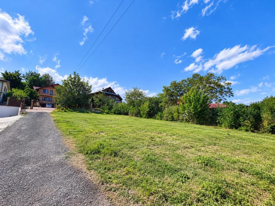 Vânzare Teren Intravilan 640 mp Tudor Neculai Autorizație Casă P+E